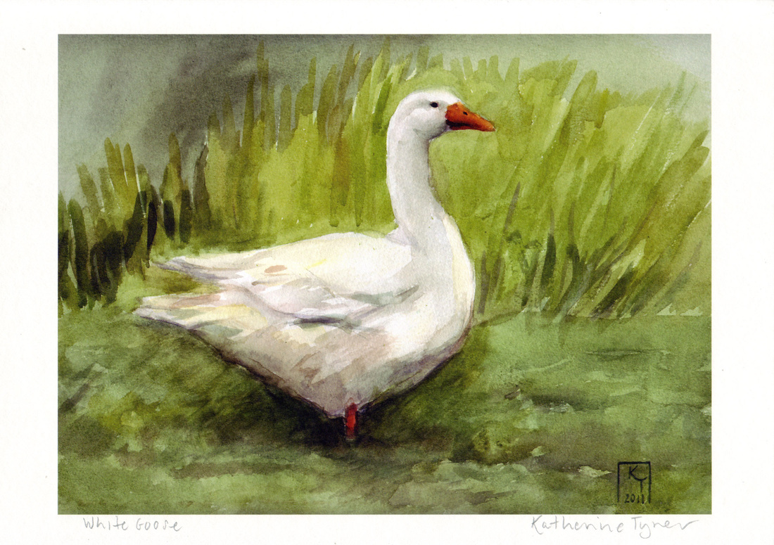 White Goose Fine Art Print - KATHERINE TYRER ILLUSTRATOR goose artwork uk