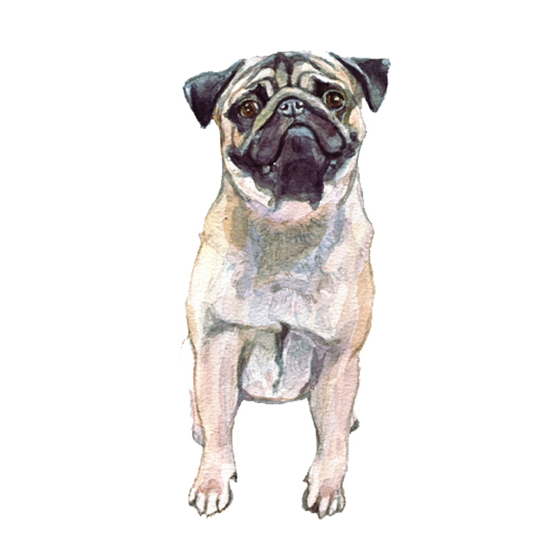 gift ideas for dog owners, pug watercolour painting