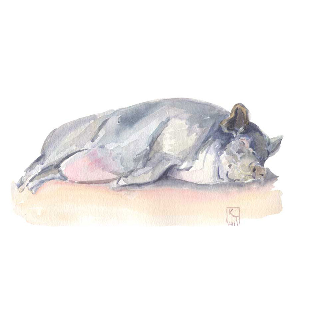 Sleeping pig watercolour painting