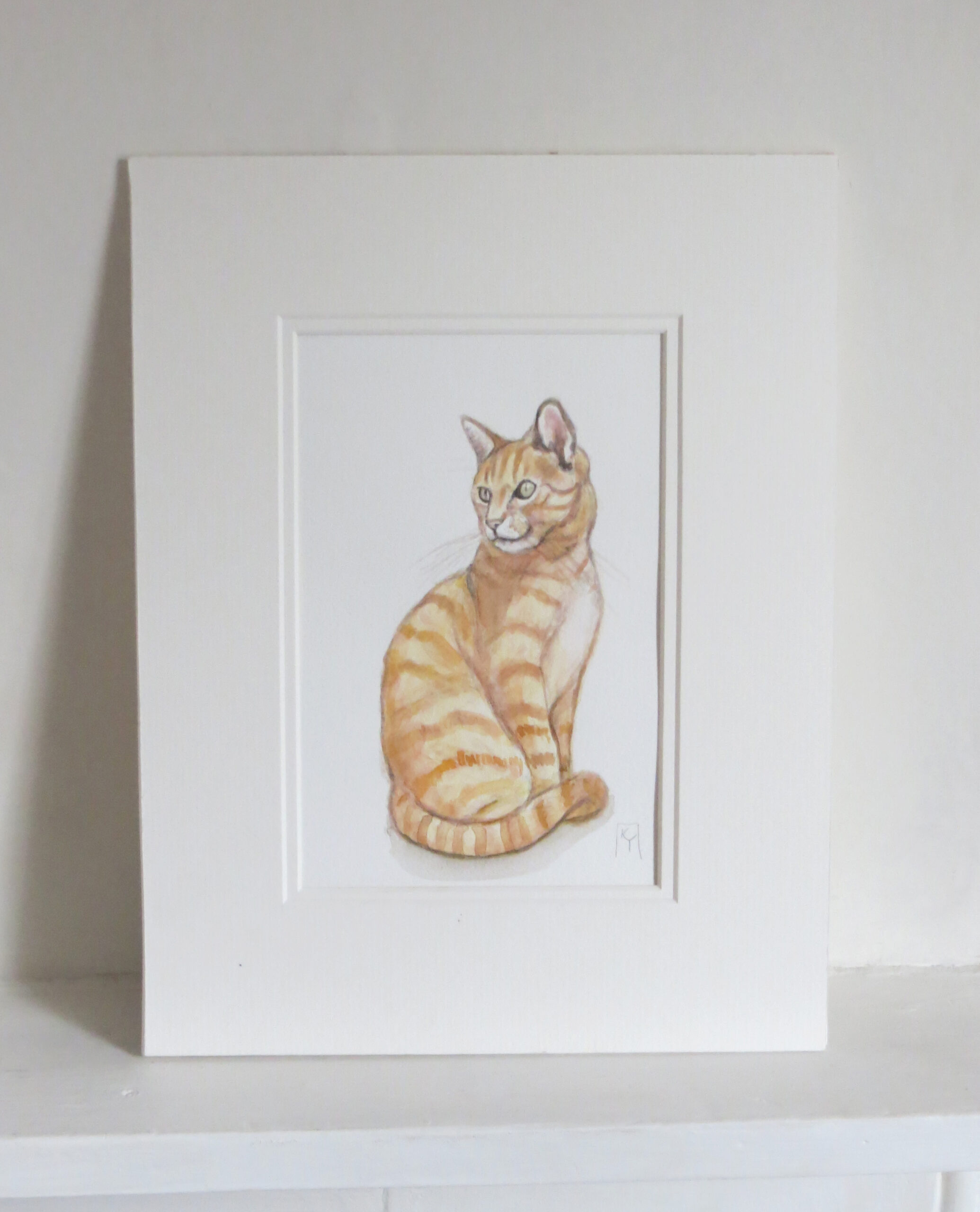 Marmalade 2024 tabby cat