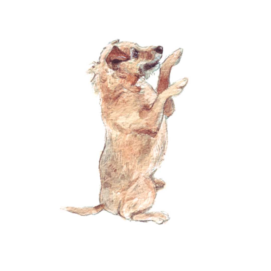 patterdale terrier painting