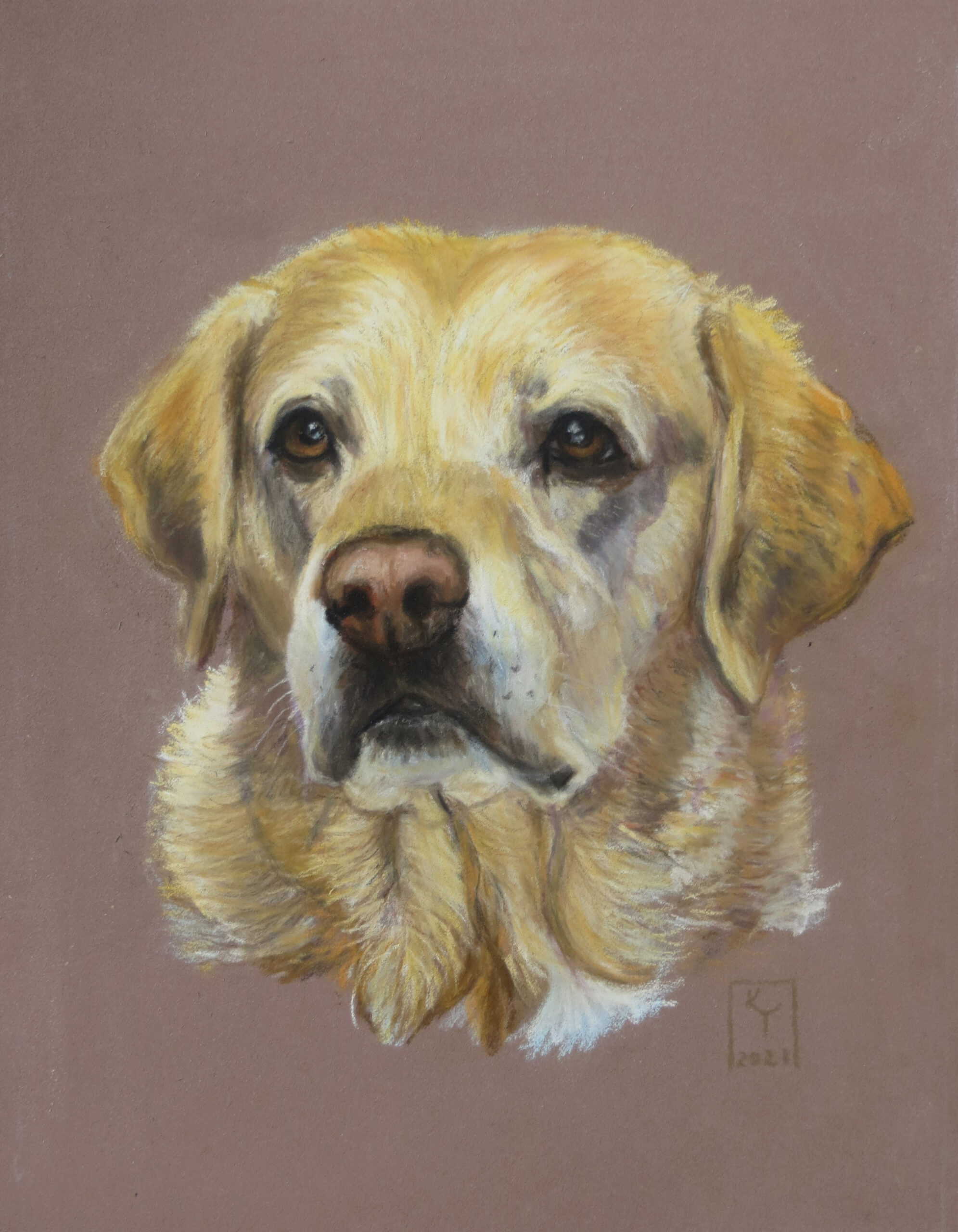 Labrador Retriever Paintings